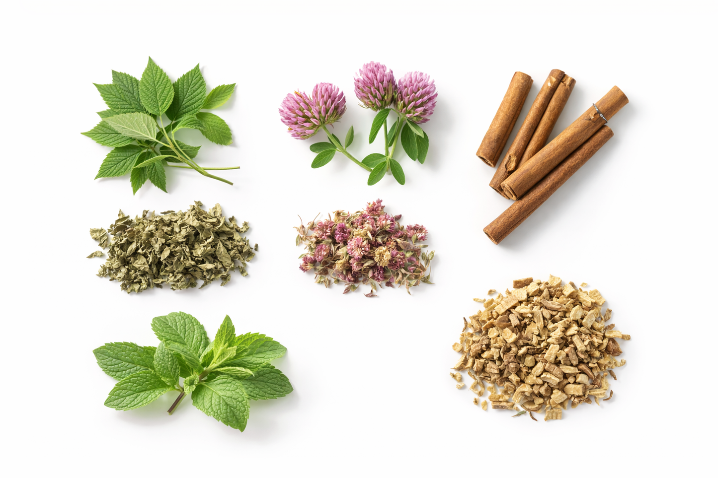 Freja Balance™ Menopause Tea – Hormone Support Herbal Tea for Women 45+ | Perimenopause Relief | Hot Flash & Mood Support | Loose Leaf Women’s Wellness Blend (80g)