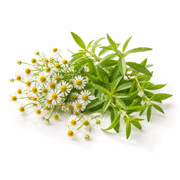 Chamomile · Lemon Verbena