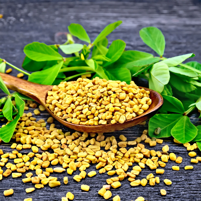 Fenugreek Seed · 300 mg