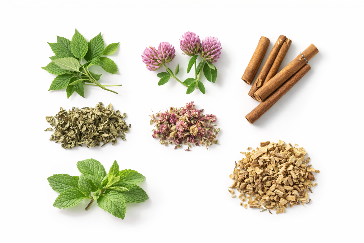 Collection of herbs and spices including mint, clover, cinnamon sticks, and dried herbs on a white background