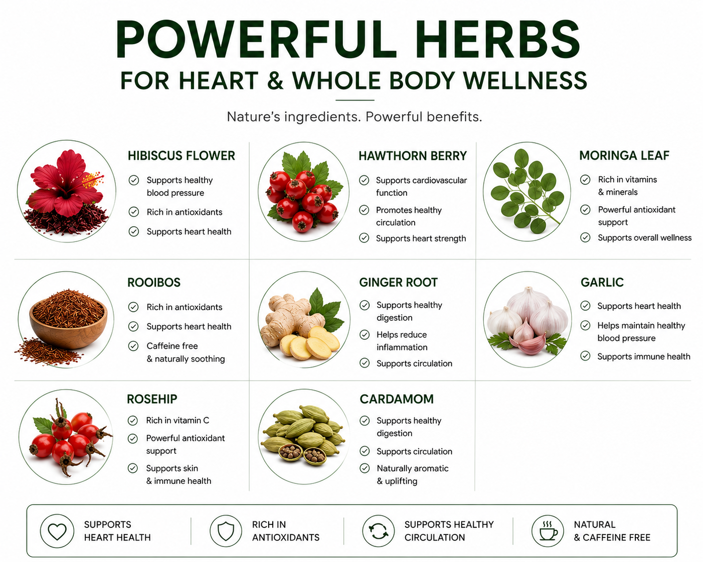 harmony heart herbal wellness tea and the ingredients