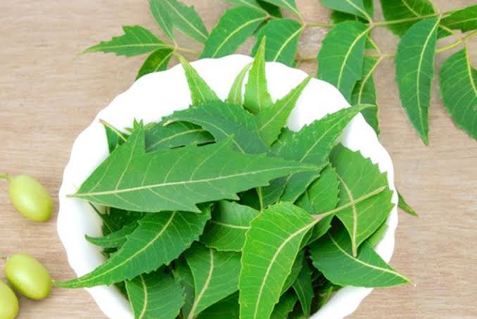Neem · Holy Basil