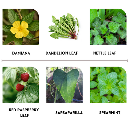 Hormone Balancing Tea (women’s brew)